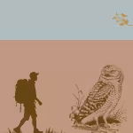 LOW_30_canvas_c4d6d3_Pale_blue-dark-stripes-UPP_70_canvas_c08768_Toasted_nut-escheresque-sepia060-maleHiker-birdOnBranch-colourised_180PC_mustardGoldDarkened-sepia060-owlDrawing.avif