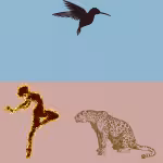 LOW_50_canvas_8abad3_Sky_blue-first-aid-kit-UP_50_canvas_bd7b74_Desert_sand-cross-scratches-sepia050-dancerSparkling-sepia080-flyingBirdSilouette-sepia060-leopardDrawing.avif