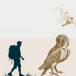 LOW_50_canvas_e5ebe3_Summer_shower-natural-paper-UP_50_canvas_ede6de_Jet_stream-old-map-sepia180-maleHiker-twoBirdsOnABranch-colourised_180PC_mustardGoldDarkened-sepia060-snowOwl.avif
